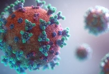 Вирусологи  раскритиковали идею использовать омикрон в качестве живой вакцины